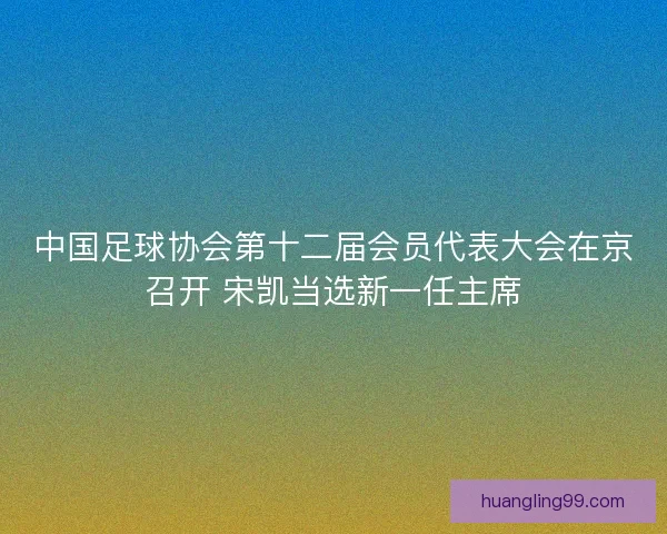 中国足球协会第十二届会员代表大会在京召开 宋凯当选新一任主席
