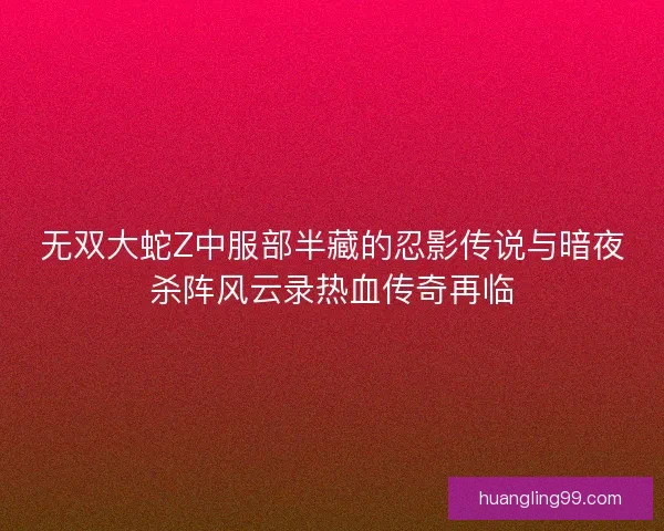 无双大蛇Z中服部半藏的忍影传说与暗夜杀阵风云录热血传奇再临